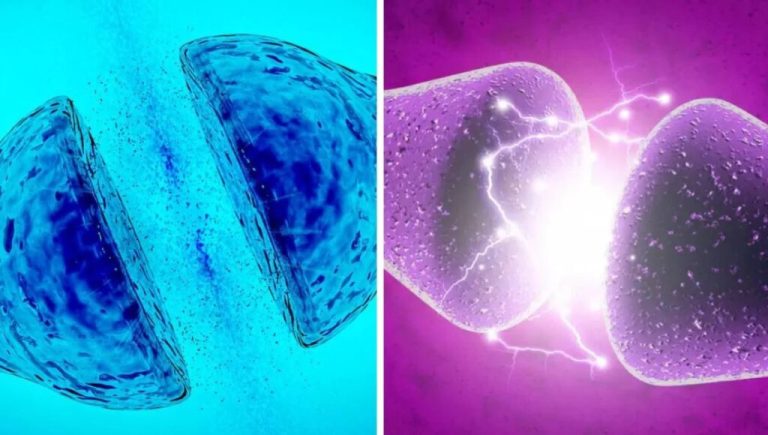 Científicos crean neurona artificial que imita la actividad del cerebro humano con mínima energía